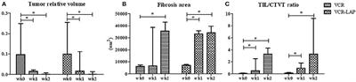 Conventional-Vincristine Sulfate vs. Modified Protocol of Vincristine Sulfate and L-Asparaginase in Canine Transmissible Venereal Tumor